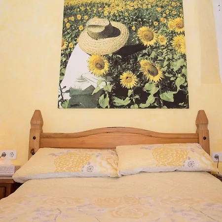 Bed & Breakfast Giles Almeria